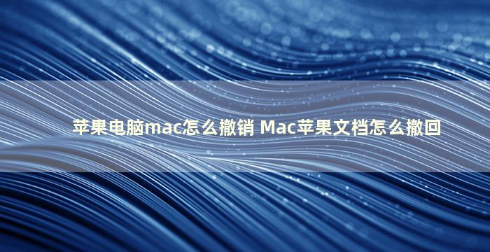 苹果电脑mac怎么撤销 Mac苹果文档怎么撤回